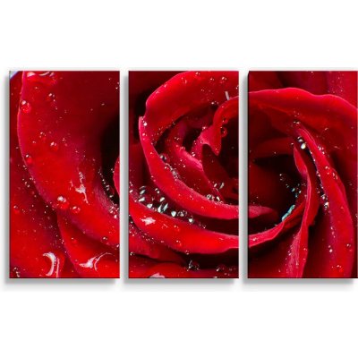 Sablio Obraz - 3-dílný Růže - 120x80 cm – Hledejceny.cz