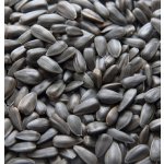 Biostan Biokron Slunečnice černá 5 kg – Zbozi.Blesk.cz