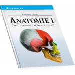 GRADA Publishing, a. s. Anatomie 1 - 3. vydání – Hledejceny.cz