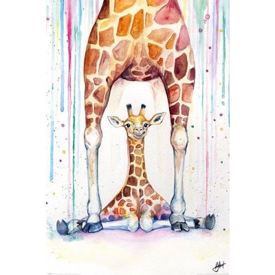 Plakát - Gorgeous Giraffes, Marc Allante – Zbozi.Blesk.cz