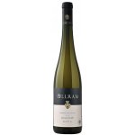 Weingut Allram Ried Renner 1ÖTW Veltlínské zelené suché bílé 2021 13,5% 0,75 l (holá láhev) – Hledejceny.cz