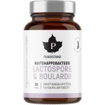 Puhdistamo Lactic Acid Bacteria Boulardii 30 kapslí – Hledejceny.cz