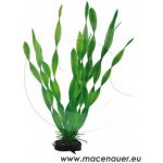 Hobby Vallisneria 34 cm – Sleviste.cz