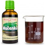Bylinné kapky Mučenka pletní nať tinktura 50 ml – Hledejceny.cz