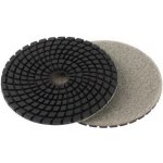 Festa Kotouč leštící diamantový 100 mm P100 22702 – Zboží Dáma