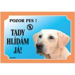 Dafiko Tabulka Labradorský retriever světlý – Hledejceny.cz