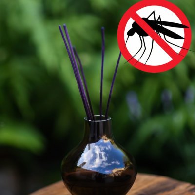 Tvoje svíčka Aroma difuzér MORAVSKÁ AMAZONIE citronela eukalyptus lemongras geranium Barva vázy 02 Růžová – Hledejceny.cz