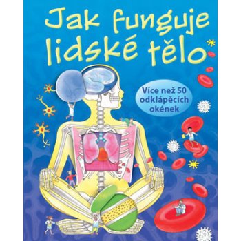 Jak funguje lidské tělo