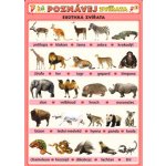 Poznávej zvířata - Exotická zvířata - Kupka Petr a kolektiv – Hledejceny.cz