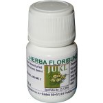Jukl tinktura Herba Floribunda 30 ml – Hledejceny.cz