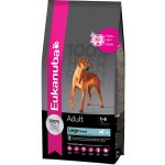 Eukanuba Adult Large Breed 2 x 15 kg – Hledejceny.cz