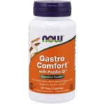 Now Foods Gastro Comfort with PepZin GI 60 veg kapslí – Hledejceny.cz