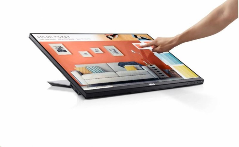 DELL TOUCH P2418HT