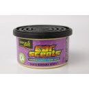 California Scents Car Scents Santa Barbara Berry 42 g