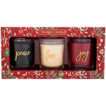 Yankee Candle Countdown to Christmas 3 x 226 g – Zbozi.Blesk.cz