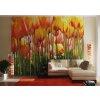 Tapety AG design FTS-0045 Papírová fototapeta Tulip big rozměry 360 x 254 cm