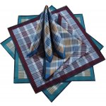 Etex Kapesníky z česané bavlny 6ks kostka – Zboží Dáma