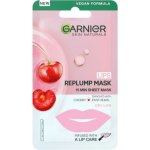 Garnier Skin Naturals Replump Mask 5 g – Hledejceny.cz