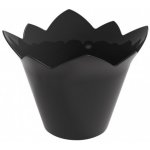 Gold Plast Finger food miska malá Waterlily 70ml Barva ubrousku: Transparentní – Hledejceny.cz