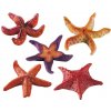 Akvarijní dekorace Ferplast Blu 9158 Starfish Small