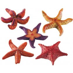 Ferplast Blu 9158 Starfish Small