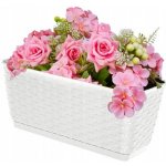 Prosperplast RATOLLA P Truhlík s podmiskou 38,6x15,4x14,2 cm ratan bílý – Hledejceny.cz