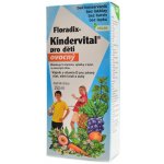 Salus Floradix Kindervital pro děti ovocný 250 ml – Hledejceny.cz