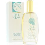 Elizabeth Arden Blue Grass parfémovaná voda dámská 100 ml – Hledejceny.cz