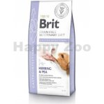 Brit Veterinary Diets Dog GF Gastrointestinal 12 kg – Zboží Mobilmania