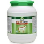 Audevard Hoof Biotine pro koně 12 kg – Hledejceny.cz