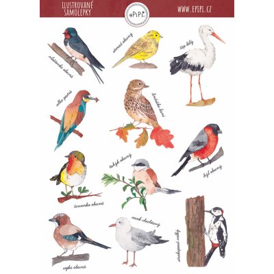 ePipí Arch samolepek Ptáčci A6 11 samolepek – Zboží Dáma