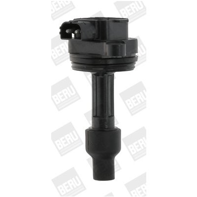 Zapalovací cívka BorgWarner (BERU) ZS446 – Hledejceny.cz