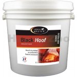 HORSE MASTER Black Hoof 10 l – Hledejceny.cz