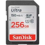 SanDisk SDXC Class 10 256 GB SDSDUNC-256G-GN6IN – Zboží Mobilmania