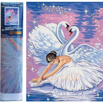 Norimpex Diamantové malování Labutí jezero 30 x 40 cm – Sleviste.cz