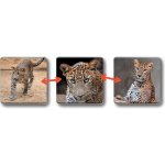 Betaxa LotoTrio Zvířatka v ZOO 1 – Zboží Živě
