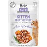 Brit Care Cat Fillets in Gravy Savory Salmon 85 g – Sleviste.cz