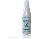 Salerm Cosmetics 21 Leave-in Conditioner 250 ml