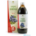 Sanct Bernhard KG 100% šťáva z plodů kanadské borůvky 0,5 l – Hledejceny.cz
