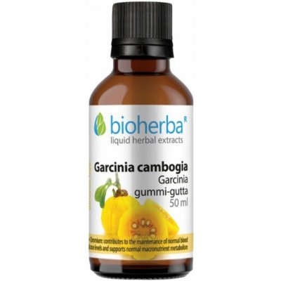Bioherba Garcinia Cambogia tinktura kapky 50 ml – Hledejceny.cz