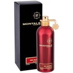 Montale Red Vetyver parfémovaná voda pánská 100 ml – Hledejceny.cz