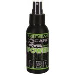 Sensas Crazy Bait Sprej Power Green 75 ml – Sleviste.cz