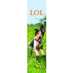Záložka - LOL – Hledejceny.cz