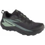 Salomon Thundercross GTX M L47279000 black/green gecko/black – Zboží Dáma