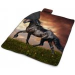 Sablio Plážová deka Friský kůň 200x140 cm – Zboží Dáma