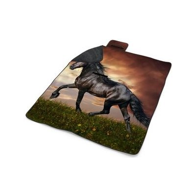 Sablio Plážová deka Friský kůň 200x140 cm – Zboží Dáma