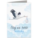 Nekupto Přání k narození dítěte Čáp s miminkem modrý – Sleviste.cz