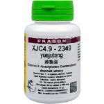 XJC4.9 - yuejutang 36 tablet Pragon – Hledejceny.cz