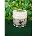 Bylinář Karel Zásaditá směs Mineraly VITAL 300 g – Hledejceny.cz