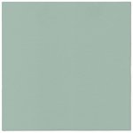 PAW Ubrousky AIRLAID Monocolor Light Green 40x40cm – Sleviste.cz